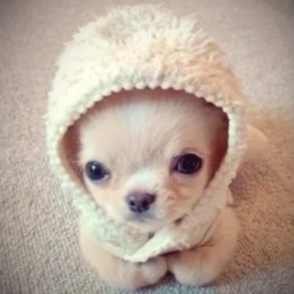 alienlady777